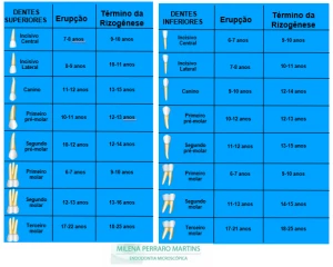 Tabela com informações sobre a erupção dentária e término da rizogênese, detalhando a idade para dentes superiores e inferiores.