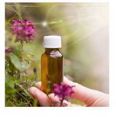 Práticas Integrativas e Complementares com florais