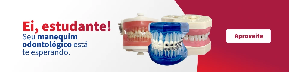 Imagem ilustrativa de manequins odontológicos com próteses dentárias, destacando a importância do estudo de odontologia para estudantes que desejam evoluir na carreira odontológica.