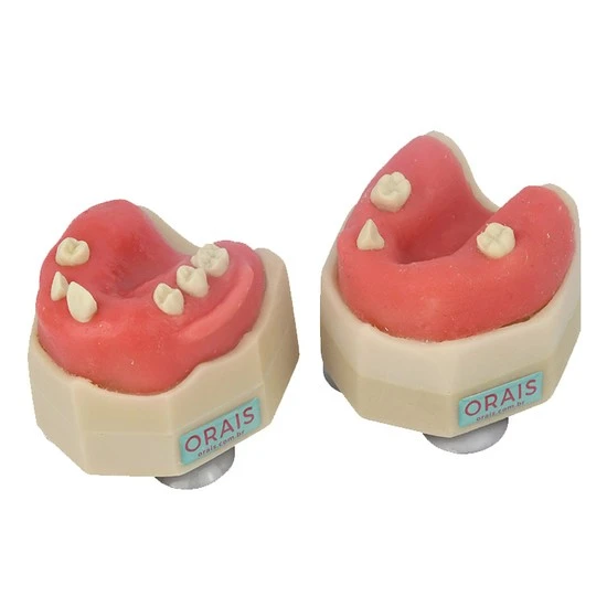 Manequim odontológico para cirurgias contendo dentes hígidos para extração. entre outras técnicas.