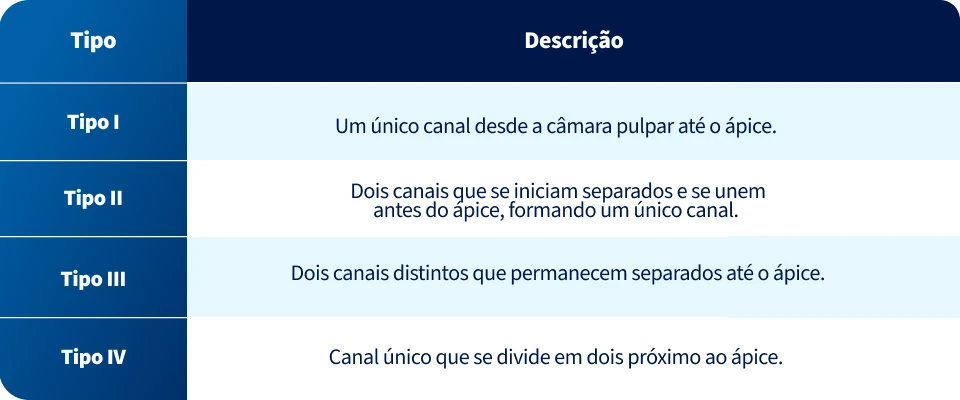 Imagem explicando os tipos de canais no corpo humano, incluindo canal único, dois canais que se unem, separados, e um canal que se divide próximo ao ápice.
